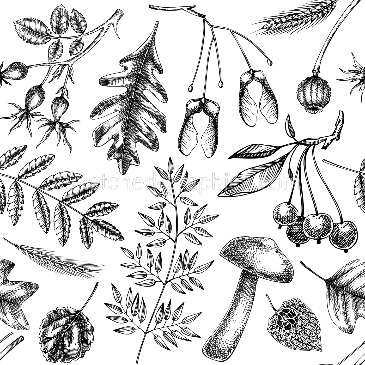 Autumn seamless pattern. Fall leaves background. Dried flowers sketches. Hand-drawn dried plant, fall leaves, mushrooms backdrop. For wrapping paper or fabrics Illustration